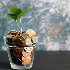 Plantje in glas met geld
