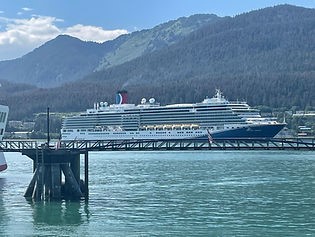 Cruise schip op zee